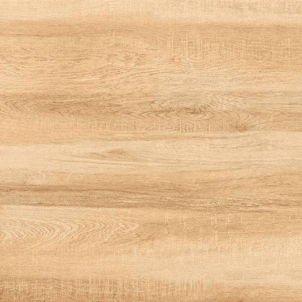 2519 (Wood Porcelain Tiles)
