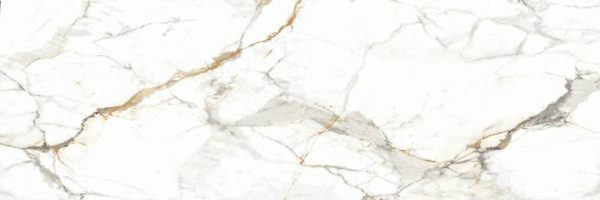 Asacia (Glossy Porcelain Slab)