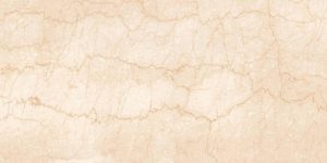 Bottochino Spider (Glossy Porcelain Tiles)