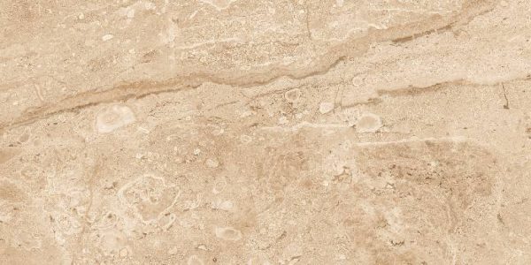 Daino Venato Beige (Glossy Porcelain Tiles) - Image 3