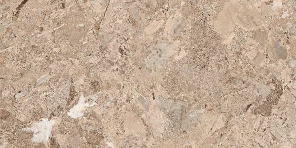 Phonix Brown (Glossy Porcelain Tiles)