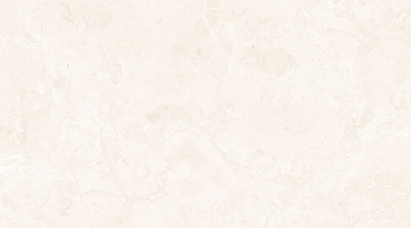 EX 312 (Ceramic Wall Tiles)