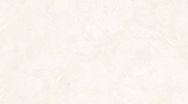 EX 312 (Ceramic Wall Tiles) - Image 4