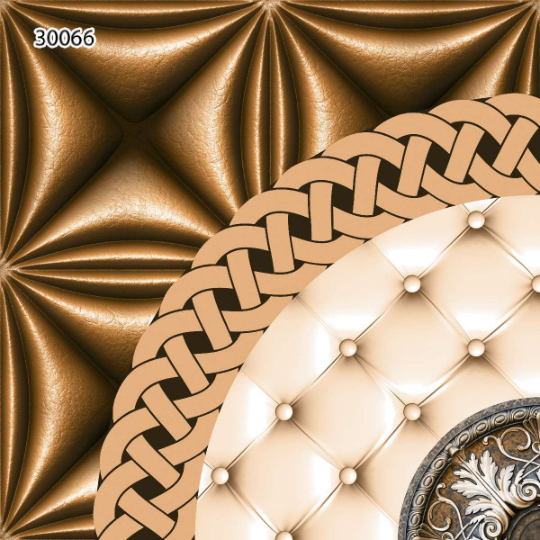 30066 (Digital Ceramic Floor Tiles)