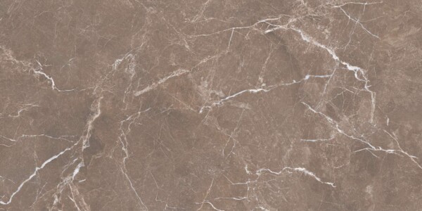 Aristo-Brown (Glossy Porcelain Tiles) - Image 2