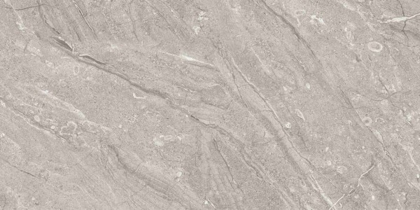 Dyna-Fantastic-Grey (Glossy Porcelain Tiles)