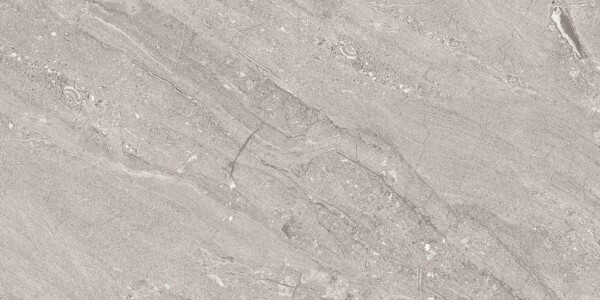 Dyna-Fantastic-Grey (Glossy Porcelain Tiles) - Image 2