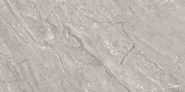 Dyna-Fantastic-Grey (Glossy Porcelain Tiles) - Image 4