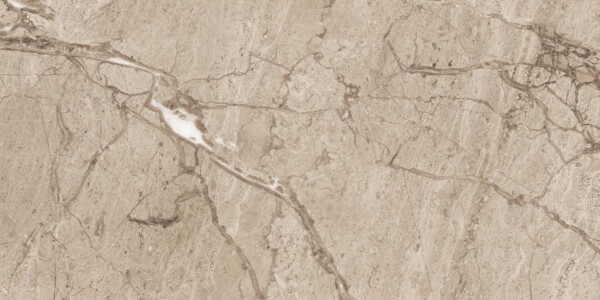 Elate-Ash (Glossy Porcelain Tiles) - Image 3