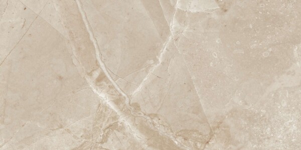 Jasper-Mud (Glossy Porcelain Tiles) - Image 4