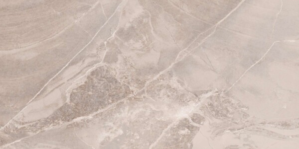 Lakme-Dijon (Glossy Porcelain Tiles)