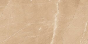 Monte-Brown (Glossy Porcelain Tiles)