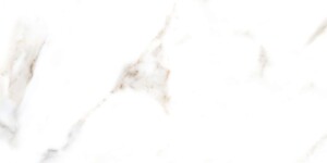 Oro-Bianco (Glossy Porcelain Tiles)