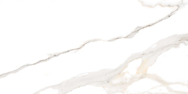 Pasafic-Bianco (Glossy Porcelain Tiles) - Image 4