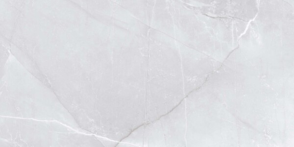 Victoria-Silver (Glossy Porcelain Tiles) - Image 2
