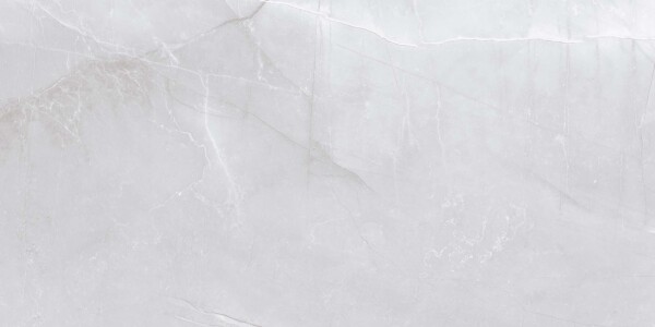 Victoria-Silver (Glossy Porcelain Tiles) - Image 3