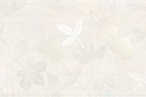 1124 (Glossy Ceramic Wall Tiles) - Image 2