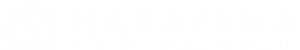 Narayana Schools - guna-ab-road logo