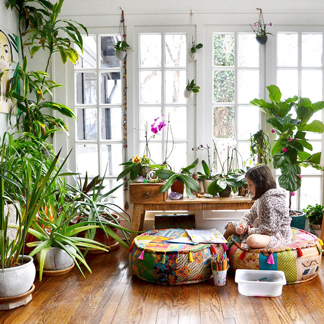 Large-Sized Plants in Every Corner