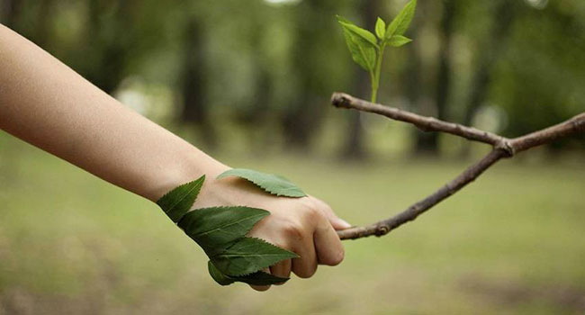 Sustain a Healthy Life Sustain a Healthy Life