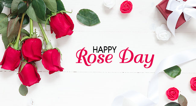 Express Your Feelings On Rose Day Express Your Feelings On Rose Day