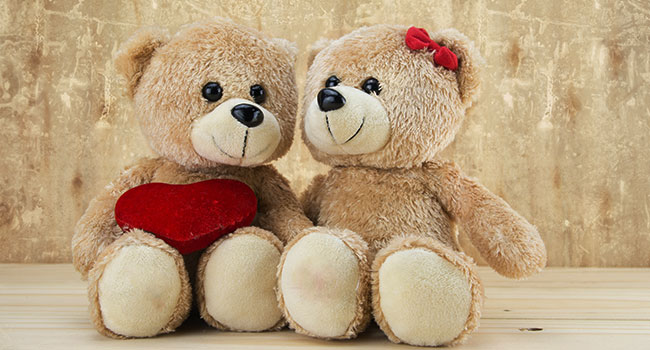 Give A Cute Teddy to Someone Give A Cute Teddy to Someone