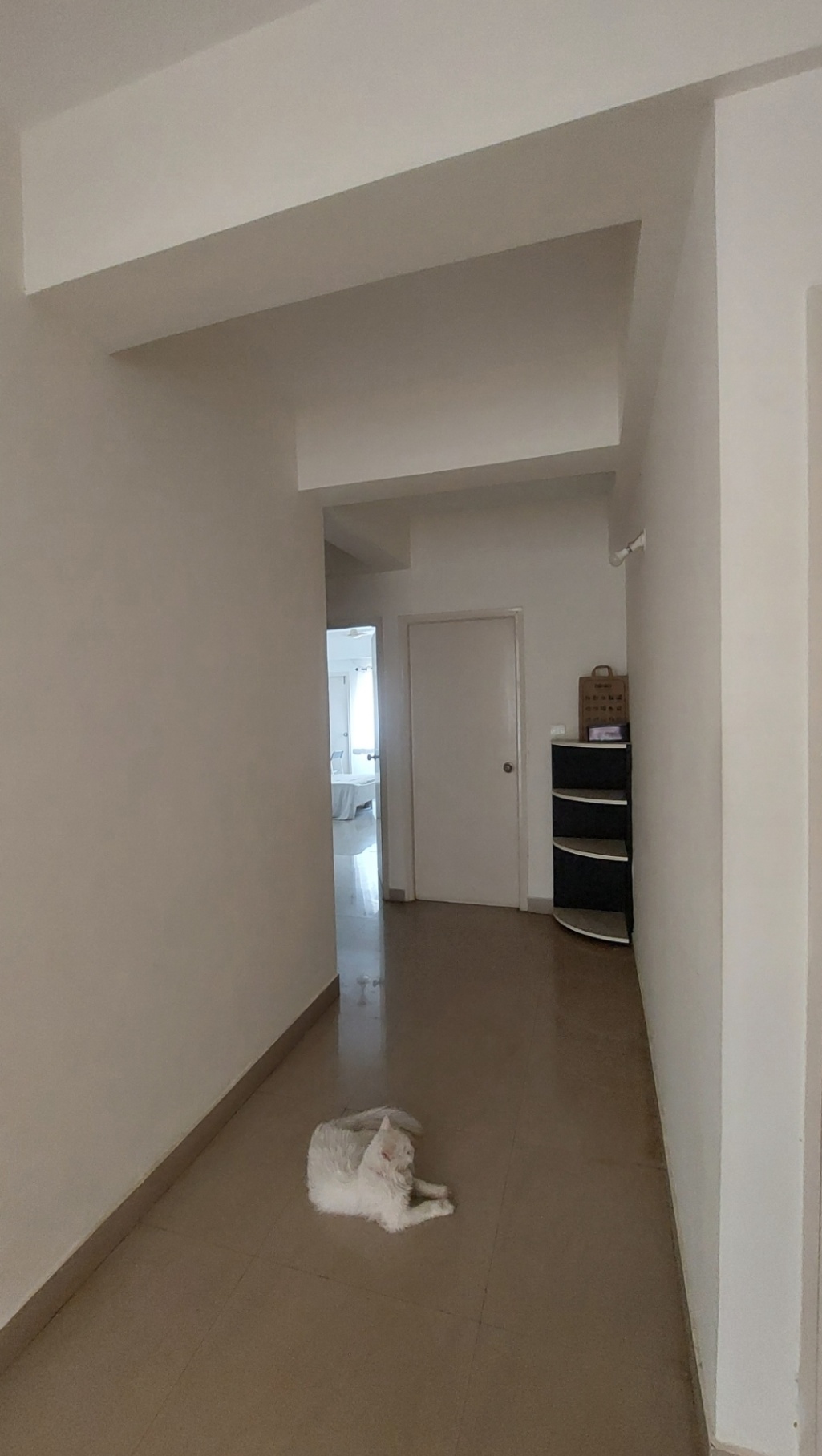https://s3.ap-south-1.amazonaws.com/fmr.prod.media/coxsf-1714482116059-82734