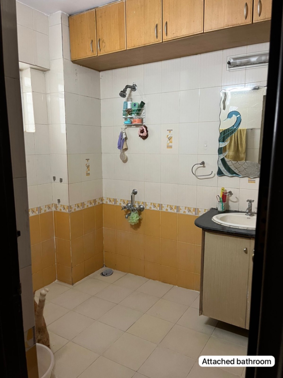 https://s3.ap-south-1.amazonaws.com/fmr.prod.media/cyejb-1710609898791-85118