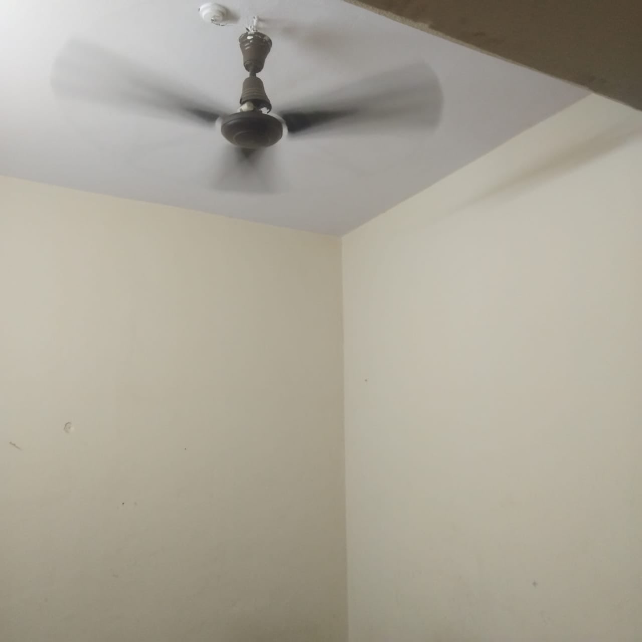 https://s3.ap-south-1.amazonaws.com/fmr.prod.media/dstgi-1697867625422-20856