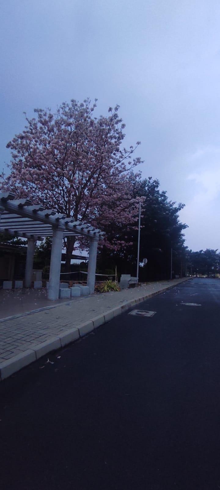 https://s3.ap-south-1.amazonaws.com/fmr.prod.media/hkpei-1693925736939-21302