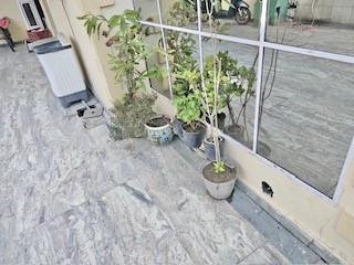 https://s3.ap-south-1.amazonaws.com/fmr.prod.media/keegv-1756106269548-77732