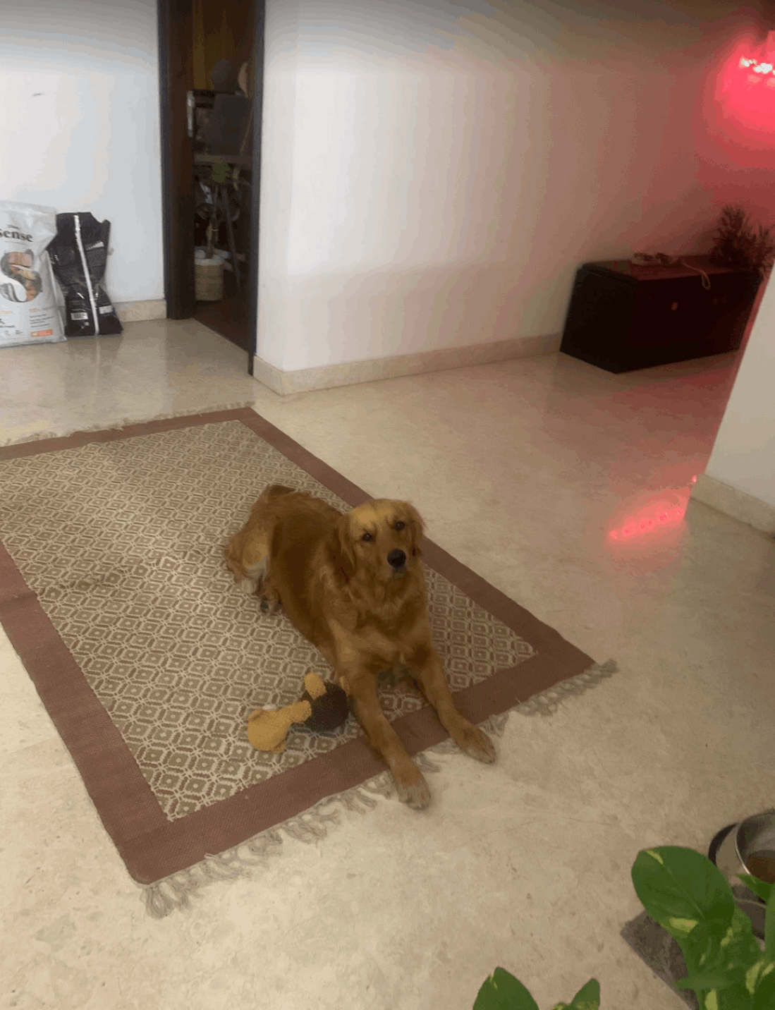 https://s3.ap-south-1.amazonaws.com/fmr.prod.media/kqbcd-1700070497400-48767