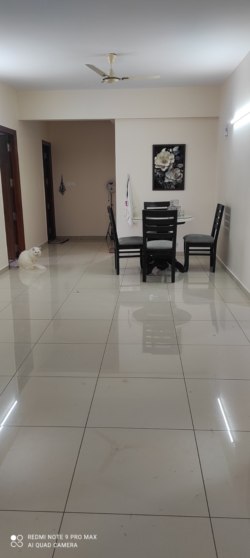 https://s3.ap-south-1.amazonaws.com/fmr.prod.media/mmdnk-1733739342674-15088