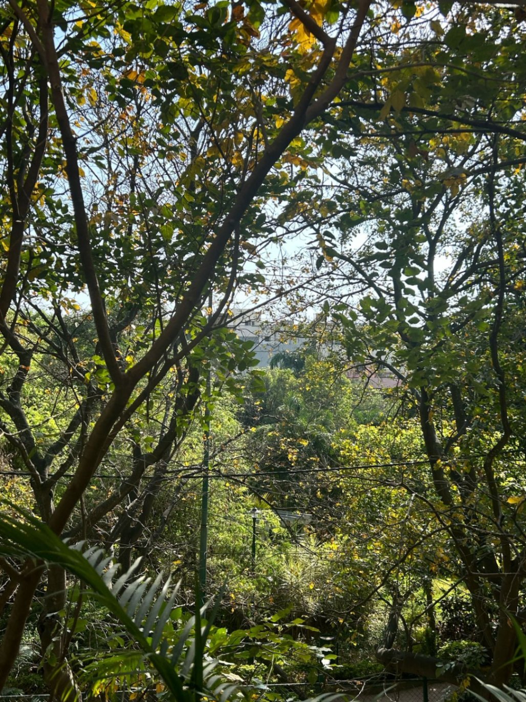 https://s3.ap-south-1.amazonaws.com/fmr.prod.media/nokuj-1743706680840-30332