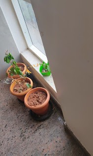 https://s3.ap-south-1.amazonaws.com/fmr.prod.media/vcfzm-1646279203964-22154