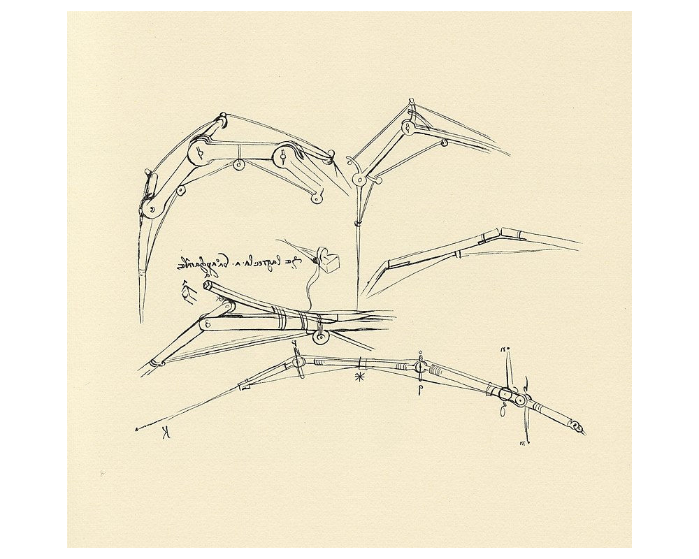 FF Insights #582: Wings of hope