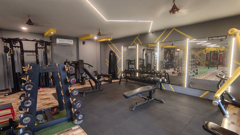 Muscle Studio photo 11