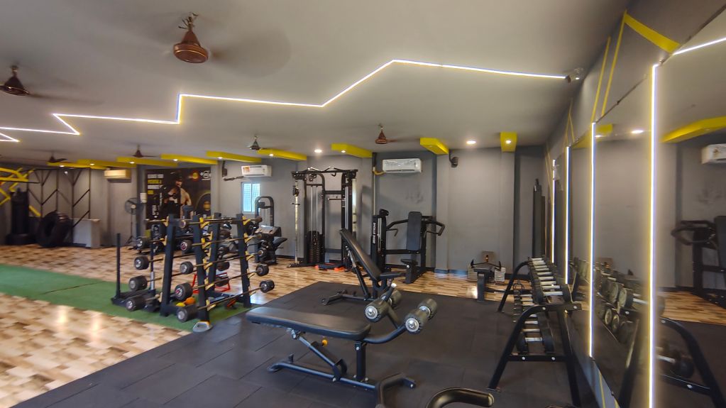Muscle Studio photo 12