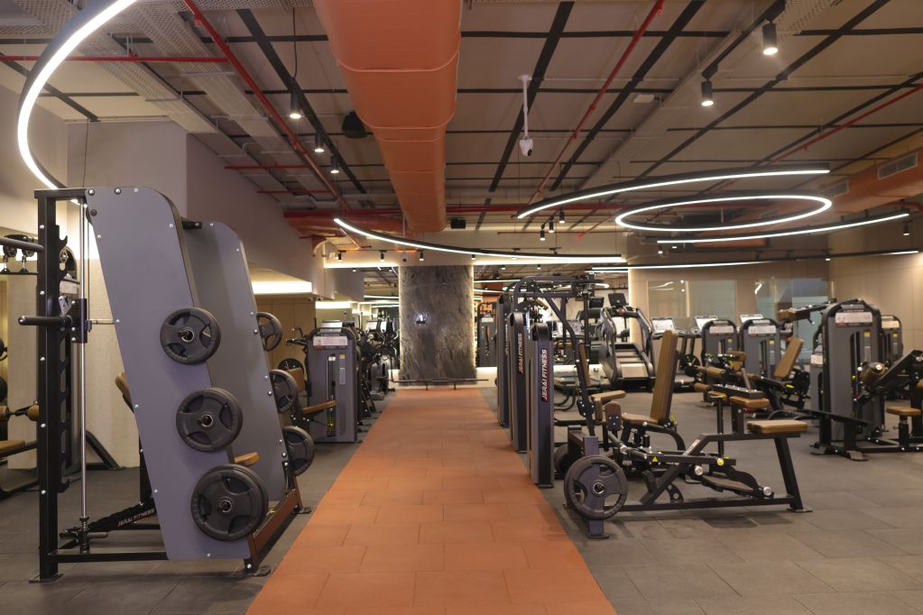 Mind Muscle Connection Gym photo 6