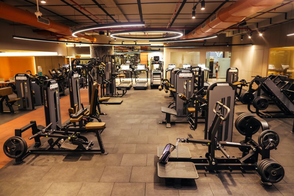 Mind Muscle Connection Gym