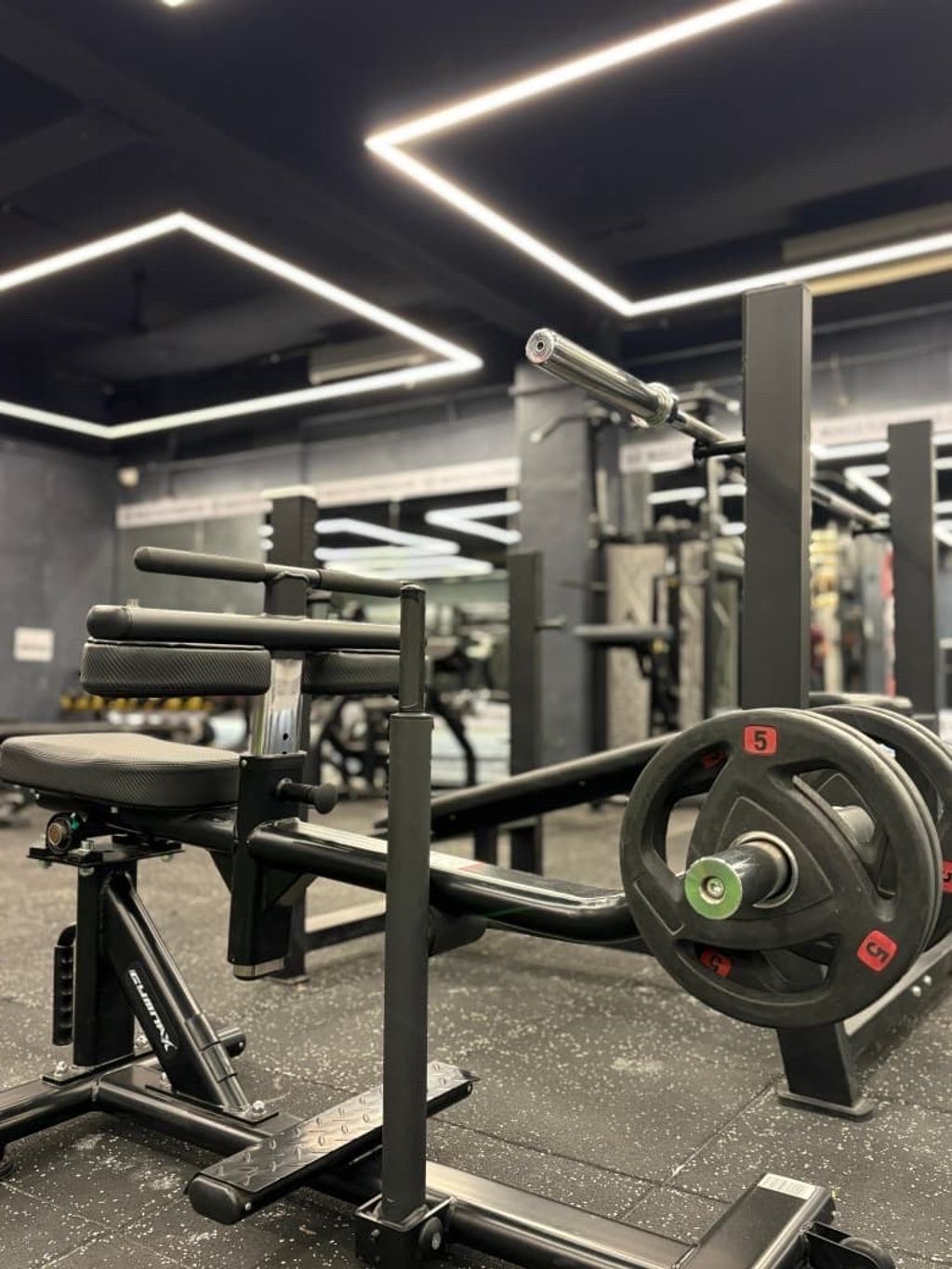 Muscle Flex Fitness Club photo 10