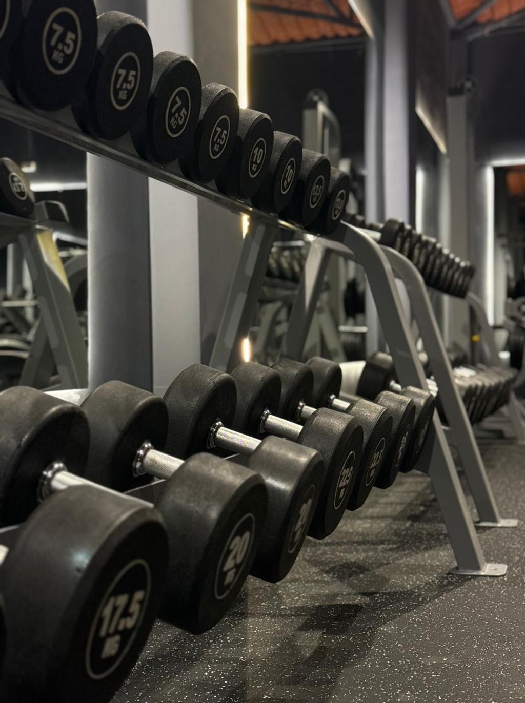 Roar Fitness Oshiwara photo 5