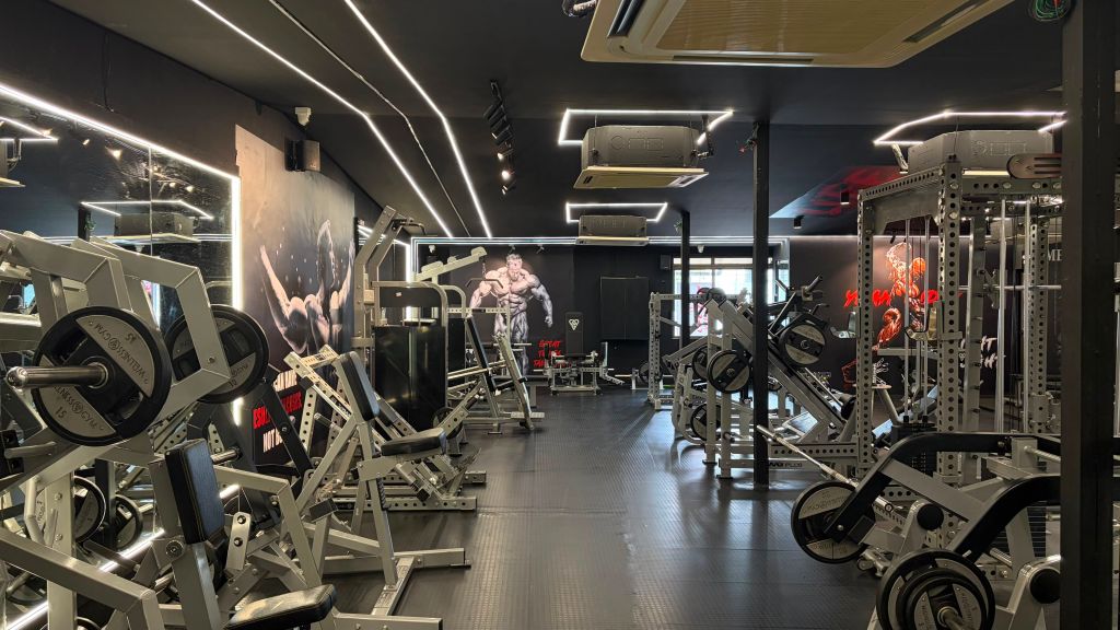 Lifezone Unisex Gym 2.0 photo 9