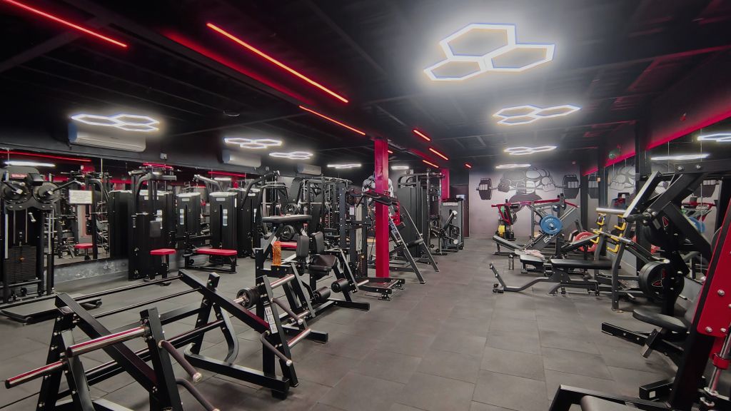 Vikings Fitness Gym gym