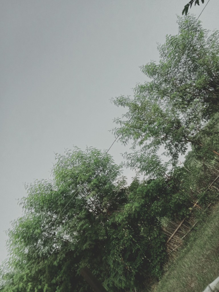 Story Image