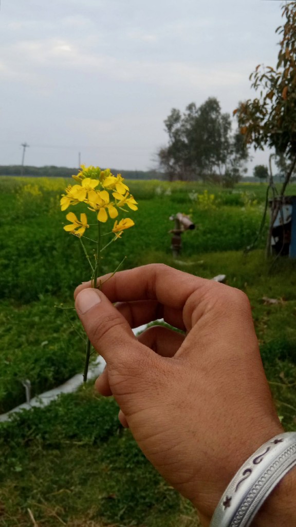 Story Image