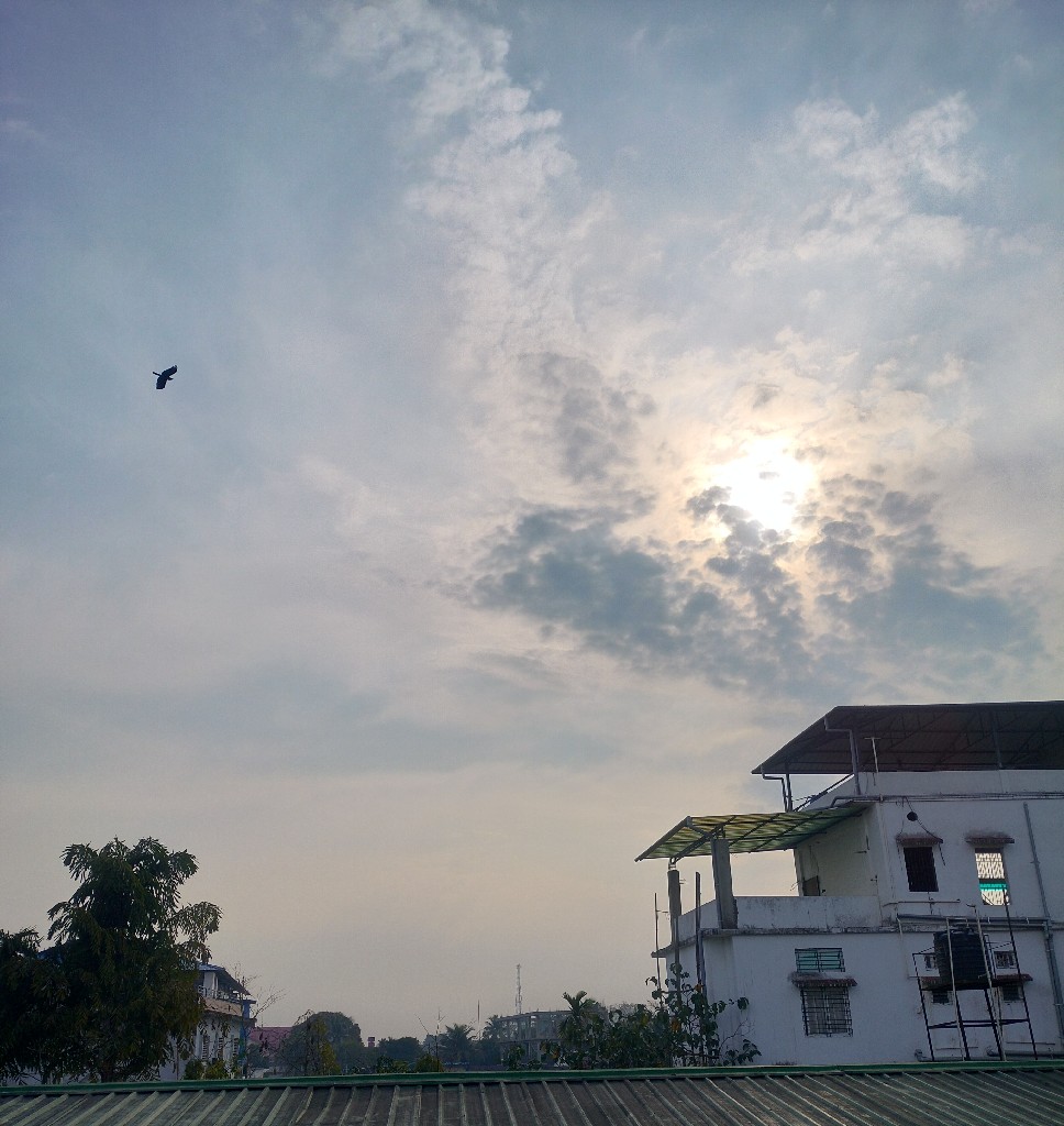 Story Image