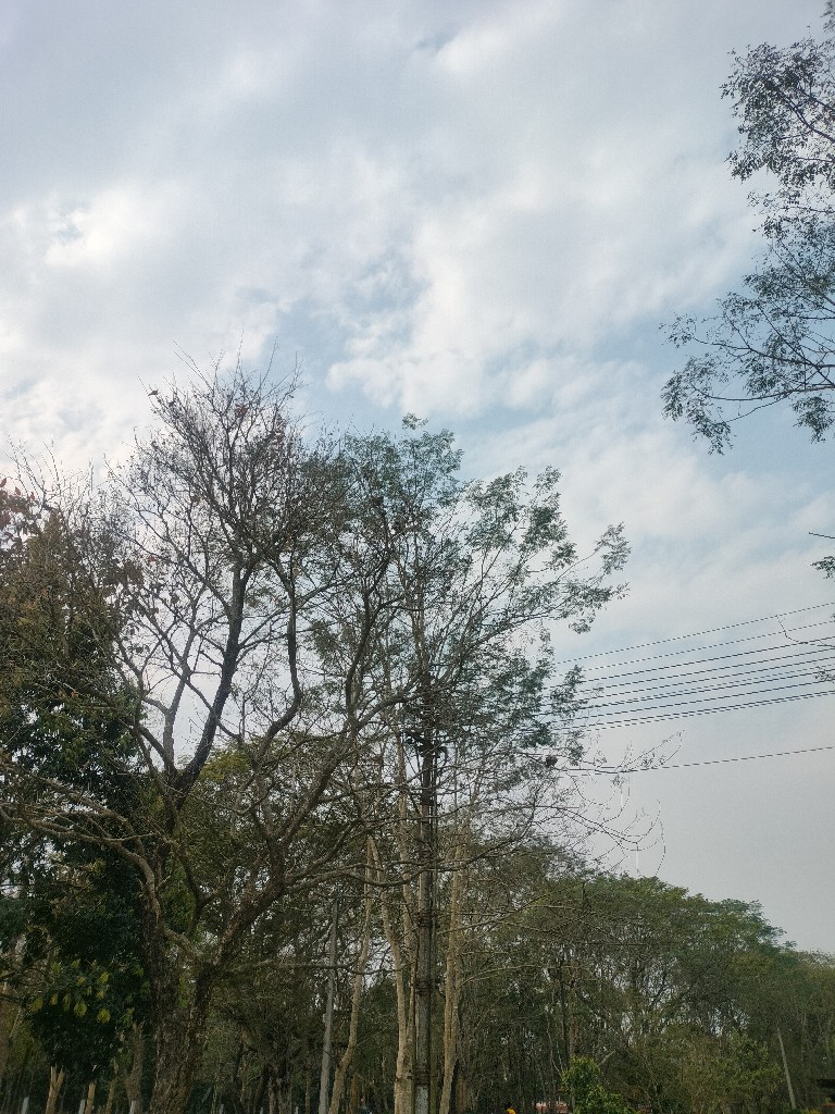 Story Image