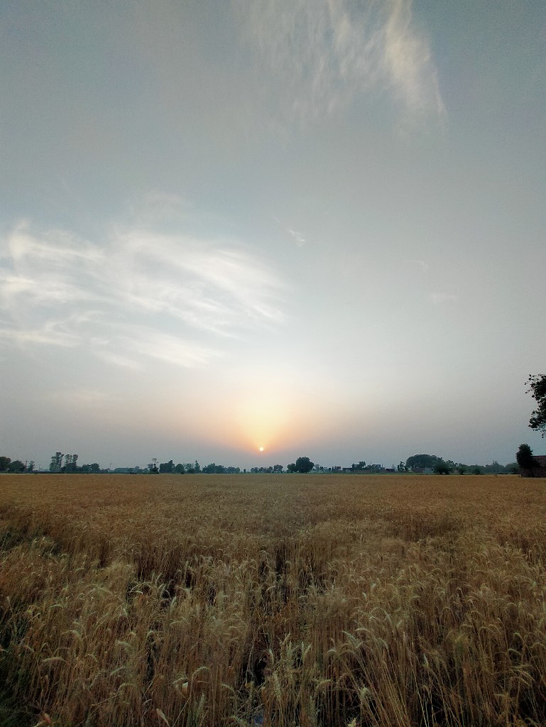 Story Image