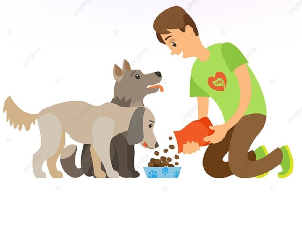 Story Image